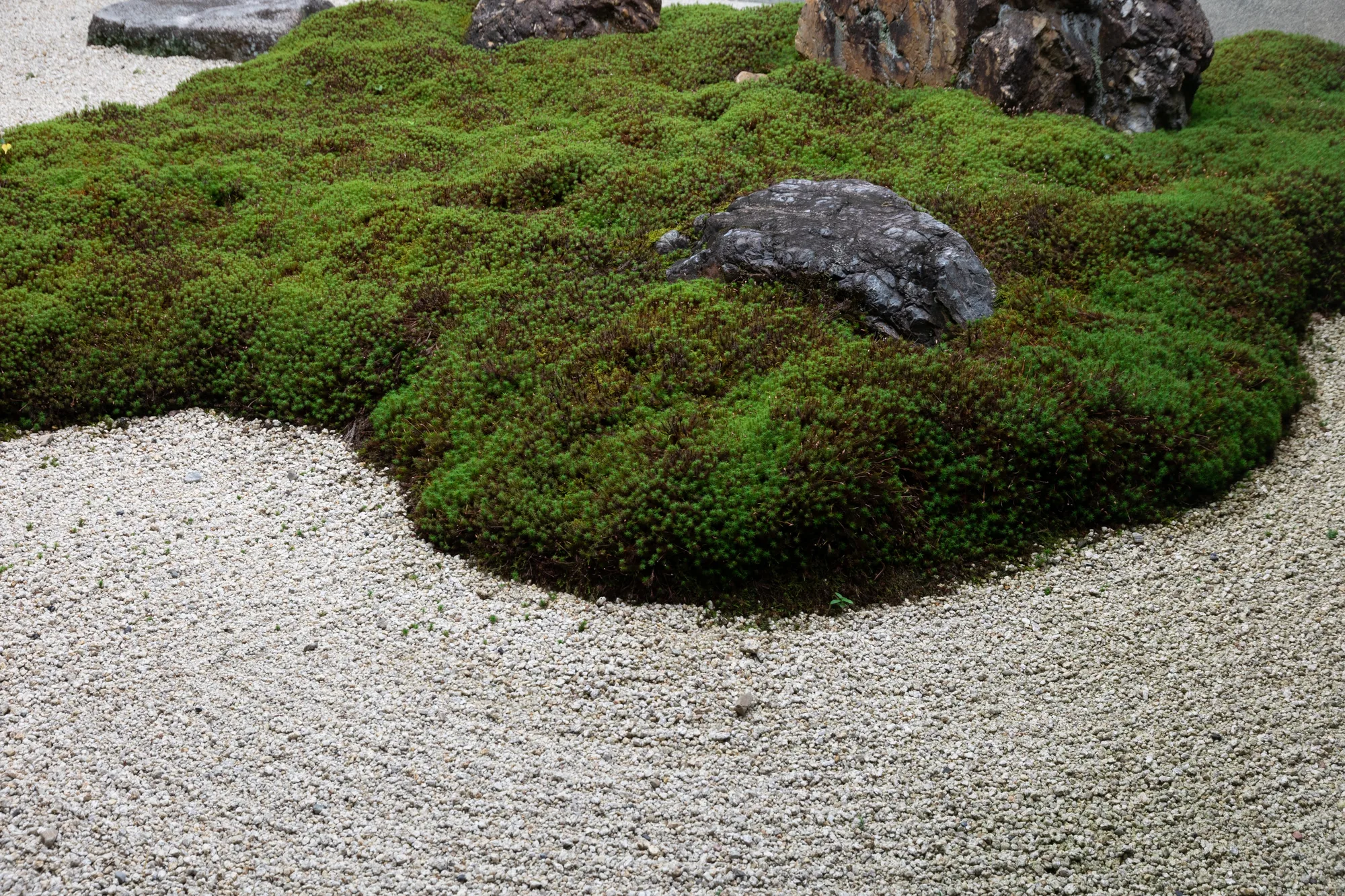 苔と白砂の庭